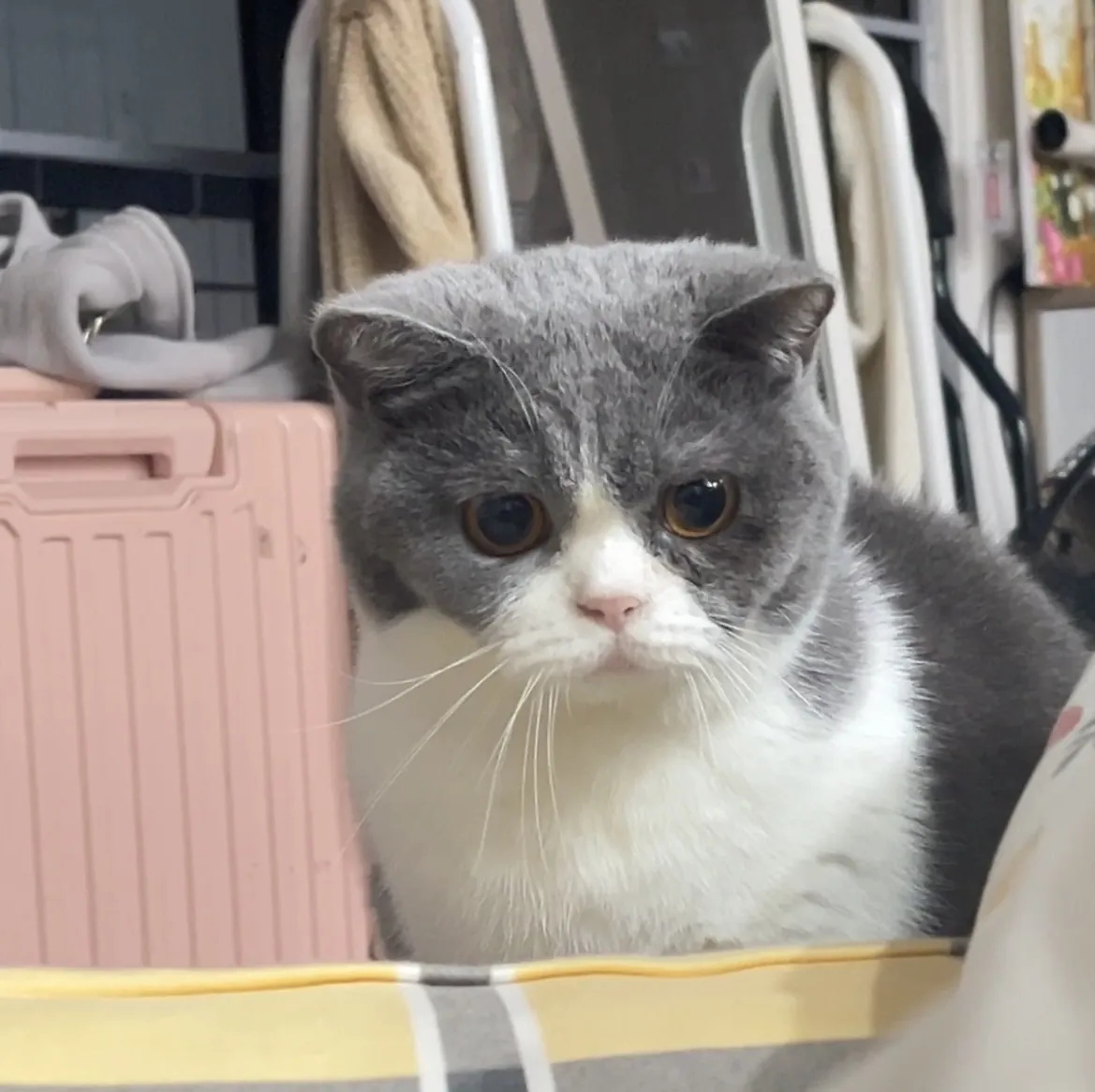 Look at those eyes